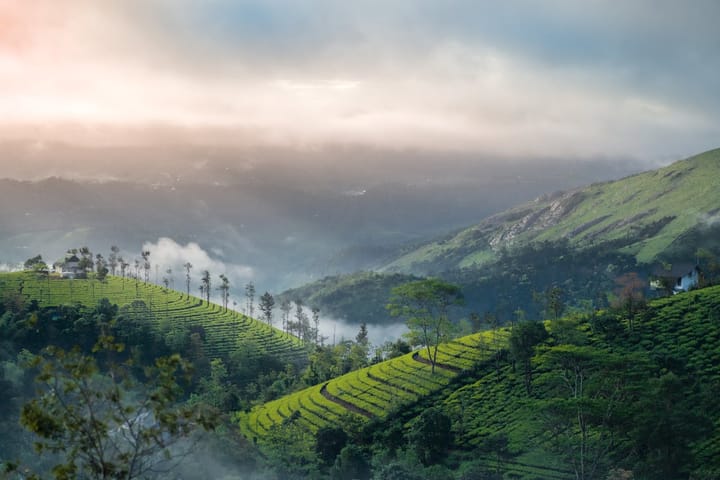 7 Hill Stations in Kerala To Escape To This Summer